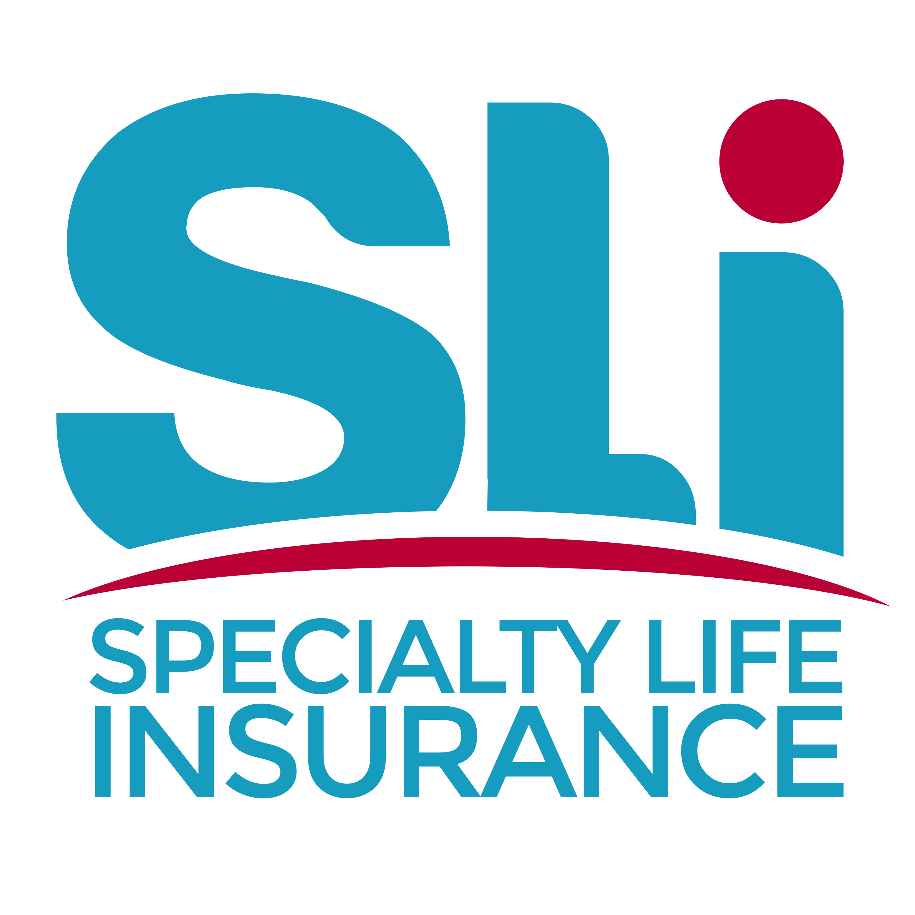 SLI logo_EN.png